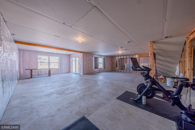 exercise area with a wealth of natural light