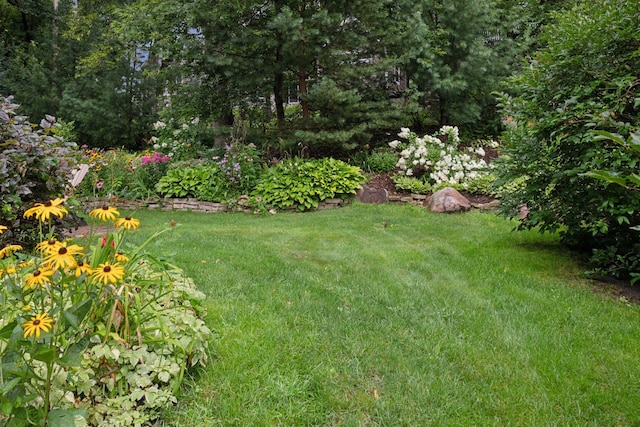 view of green lawn