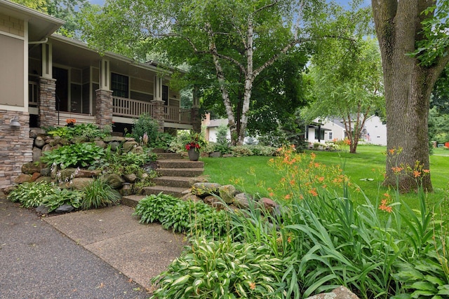 220 Glenbrook Rd N, Wayzata, MN 55391 - view of green lawn