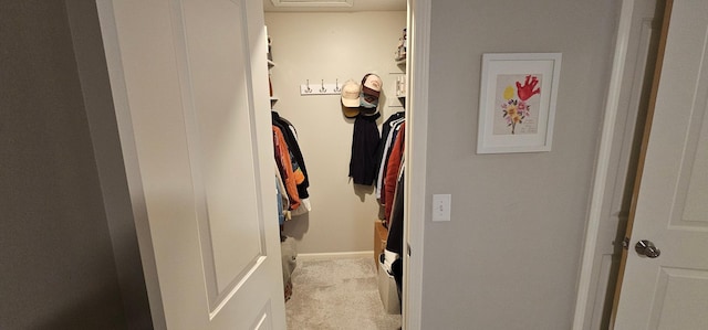 walk in closet featuring light carpet