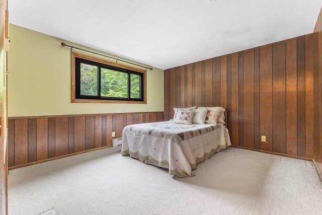 1697 Shore Dr, Arthur Twp, MN 55051 - bedroom with carpet floors, wood walls, a wainscoted wall, a baseboard radiator, and baseboards