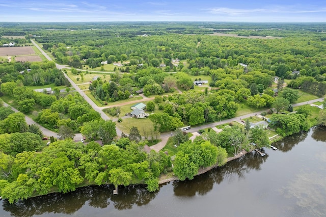 1697 Shore Dr, Arthur Twp, MN 55051 - bird's eye view of a nearby body of water