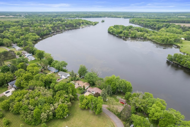 1697 Shore Dr, Arthur Twp, MN 55051 - bird's eye view of a nearby body of water and a forest