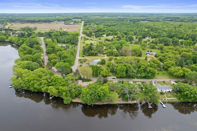1697 Shore Dr, Arthur Twp, MN 55051 - drone / aerial view of a nearby body of water