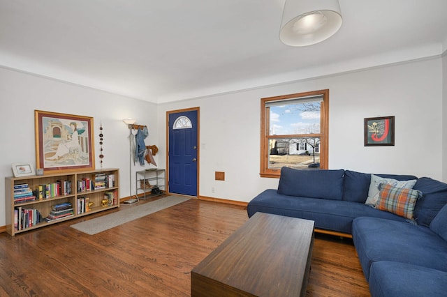 living room featuring dark wood-type flooring