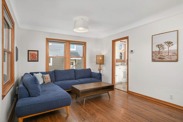 living room featuring wood-type flooring and sink