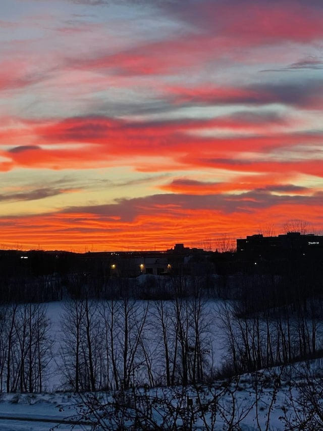14587 Florissant Path Unit 225, Apple Valley, MN 55124 - water view