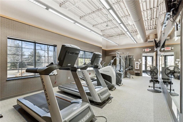 14587 Florissant Path Unit 225, Apple Valley, MN 55124 - view of workout area