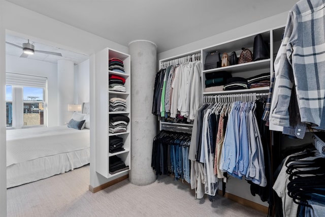 spacious closet featuring carpet floors