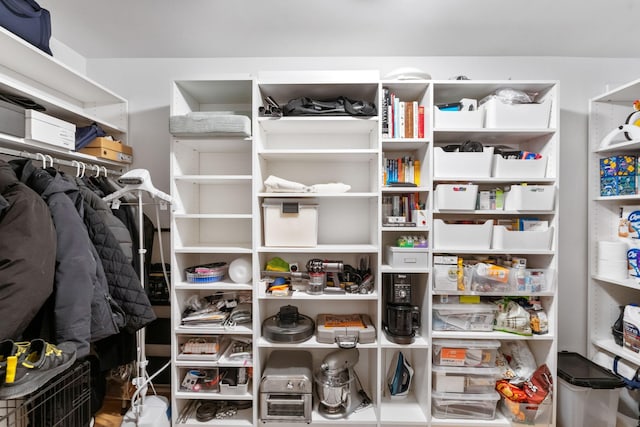 view of walk in closet