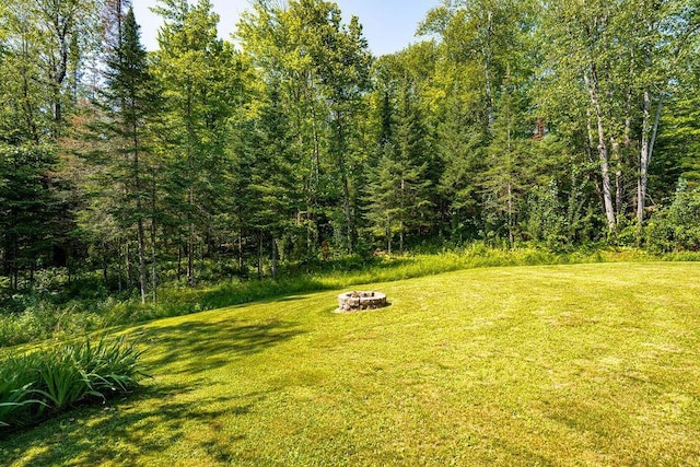 view of yard with an outdoor fire pit