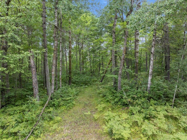 LOT7-8-9-10 Shasta Dr, Breezy Point MN, 56472 land for sale