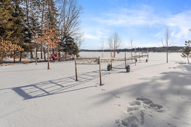 view of yard covered in snow