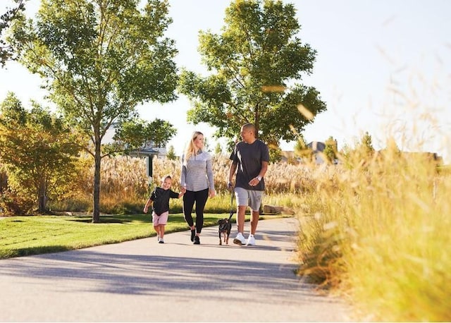 view of property's community with a lawn