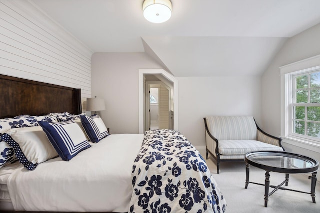 20100 Lakeview Ave, Deephaven, MN 55331 - bedroom featuring carpet floors and lofted ceiling