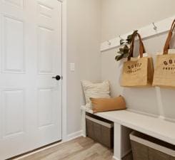 mudroom with light wood-type flooring