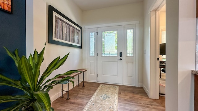 entrance foyer with light hardwood / wood-style flooring