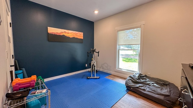 workout room with hardwood / wood-style flooring