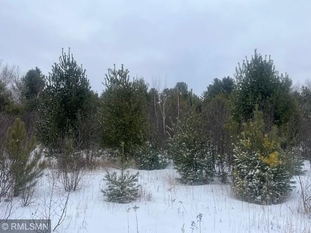 TBD Onigum Rd NW, Walker MN, 56484 land for sale