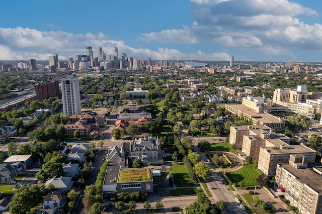 bird's eye view