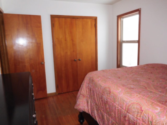 bedroom featuring dark wood-type flooring and a closet