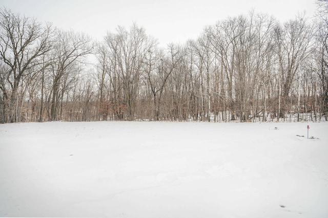 view of snowy yard