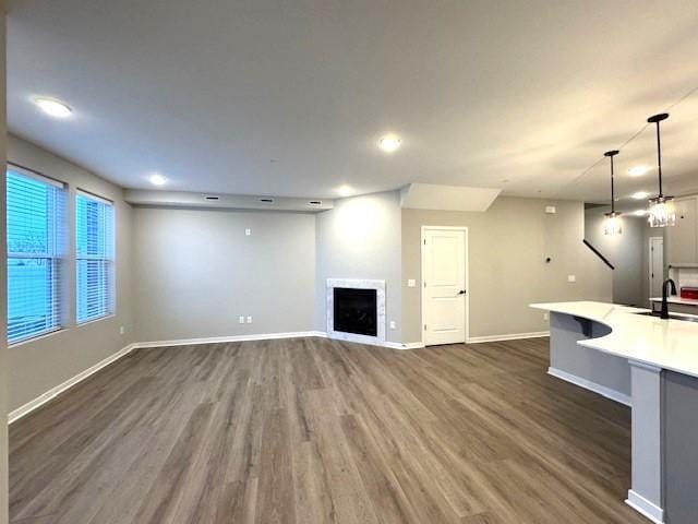 unfurnished living room with sink and dark wood-type flooring