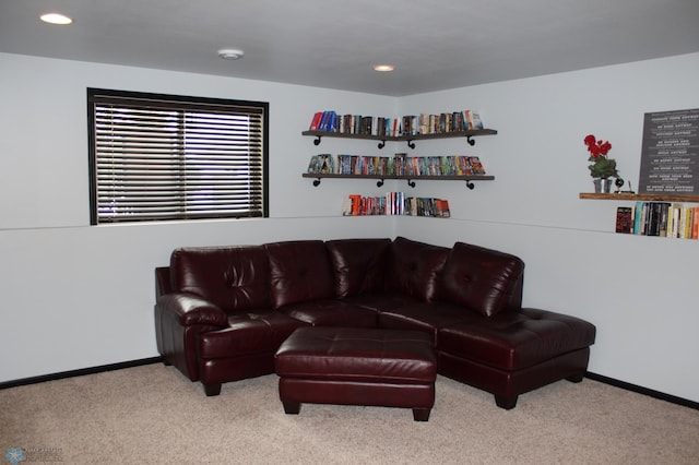 living room featuring light colored carpet