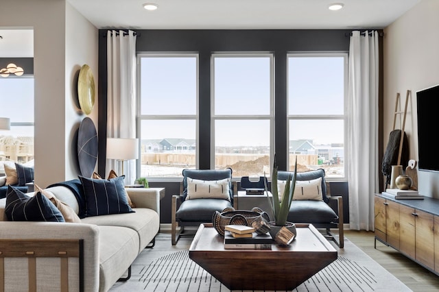 living room featuring light wood-type flooring and a wealth of natural light