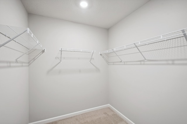 walk in closet with carpet