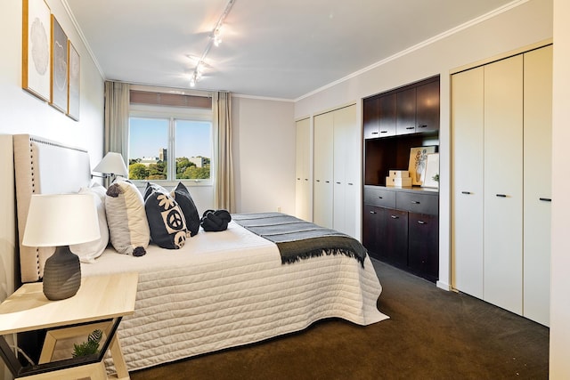 bedroom with dark colored carpet, crown molding, rail lighting, and two closets