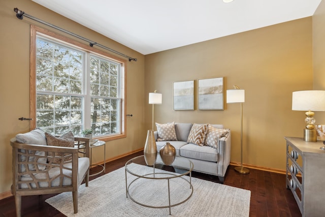 living room featuring dark wood-type flooring