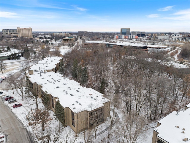 view of snowy aerial view