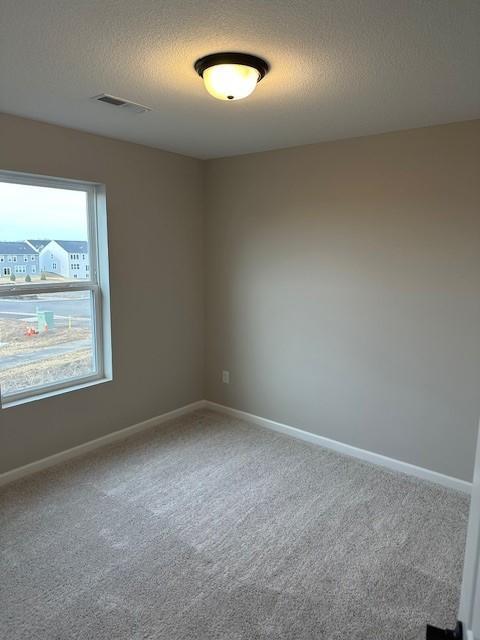 unfurnished room with carpet and a textured ceiling