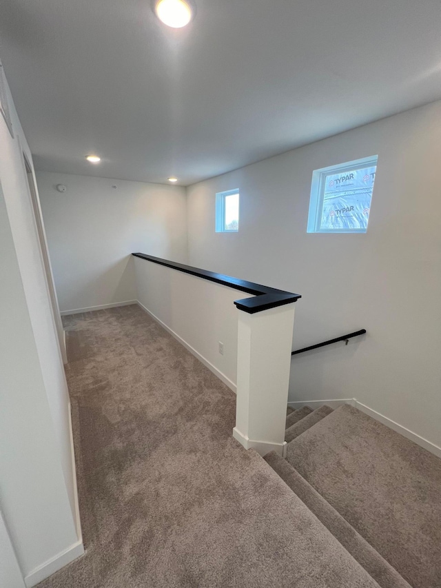 basement featuring carpet