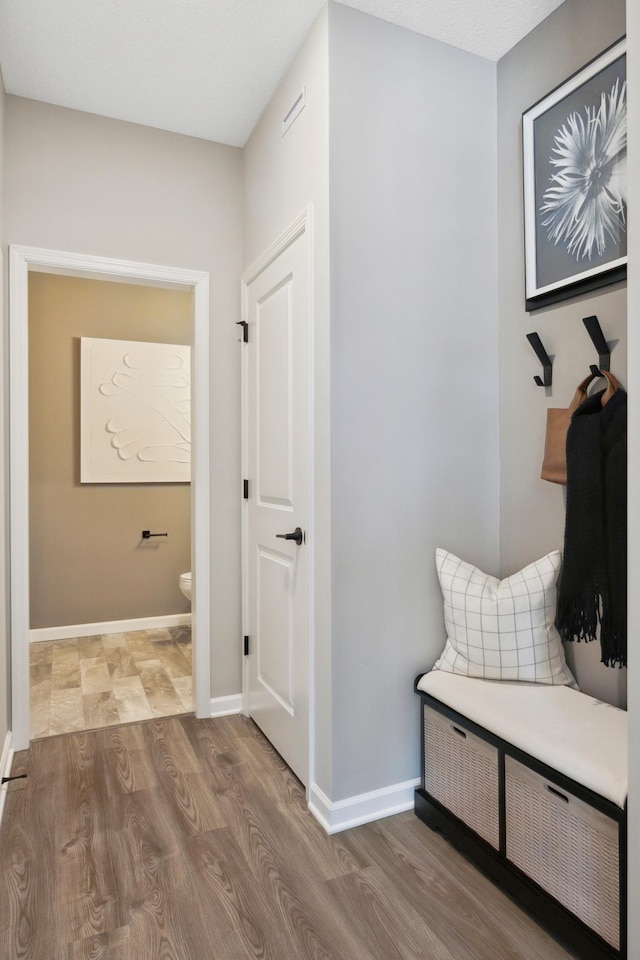 mudroom featuring wood-type flooring