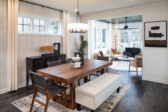 dining room featuring plenty of natural light and dark hardwood / wood-style flooring