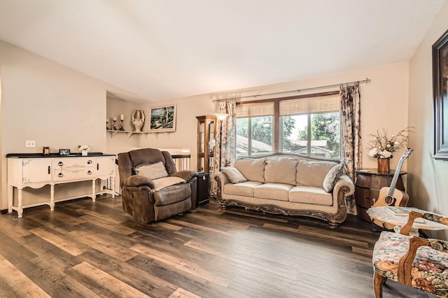 11132 100th Pl N, Maple Grove, MN 55369 - living room featuring dark wood-type flooring and vaulted ceiling