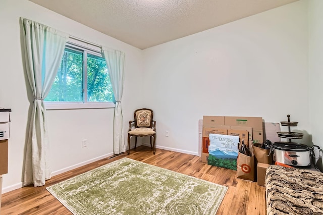 11132 100th Pl N, Maple Grove, MN 55369 - bedroom featuring light wood-type flooring and a textured ceiling