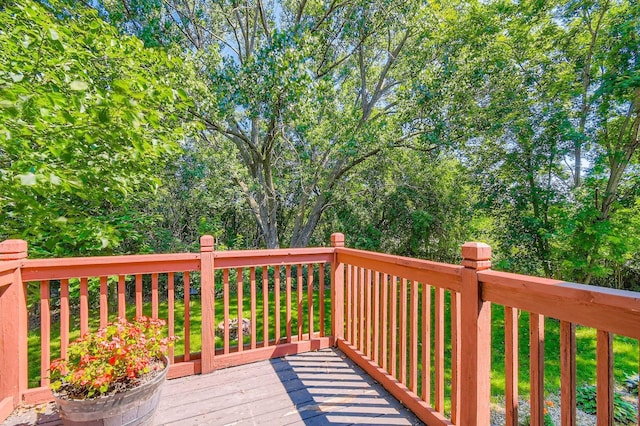 11132 100th Pl N, Maple Grove, MN 55369 - view of deck
