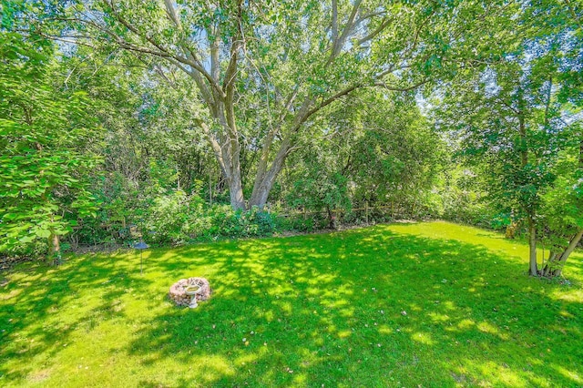11132 100th Pl N, Maple Grove, MN 55369 - view of green lawn