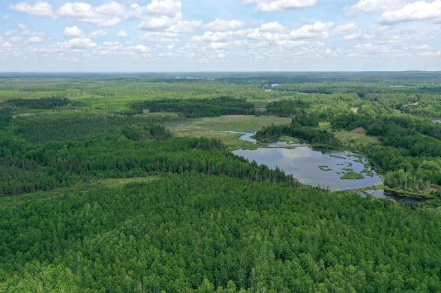 TBD Pequaywan Lake Rd, Duluth, MN 55803