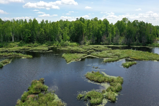 TBD Pequaywan Lake Rd, Duluth, MN 55803