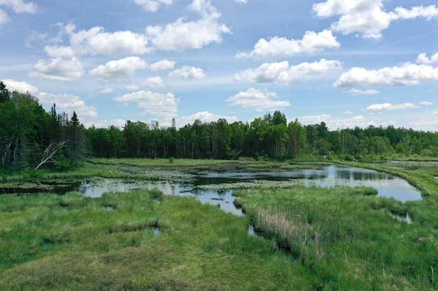 TBD Pequaywan Lake Rd, Duluth, MN 55803