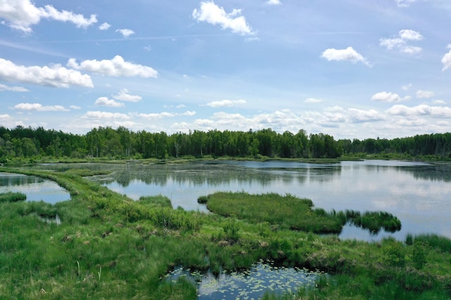 TBD Pequaywan Lake Rd, Duluth, MN 55803