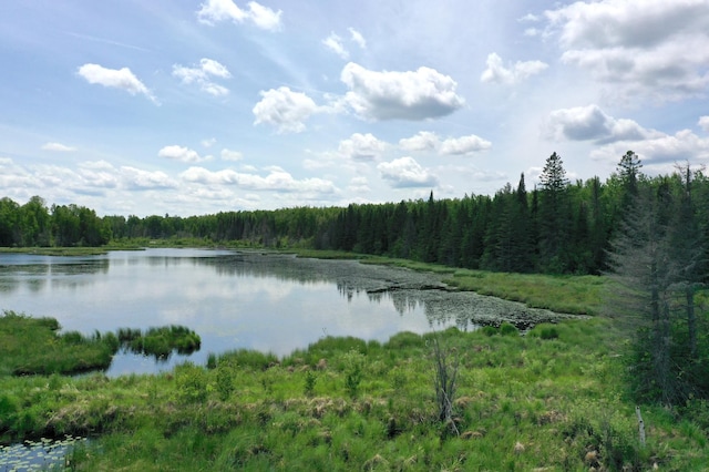 TBD Pequaywan Lake Rd, Duluth, MN 55803