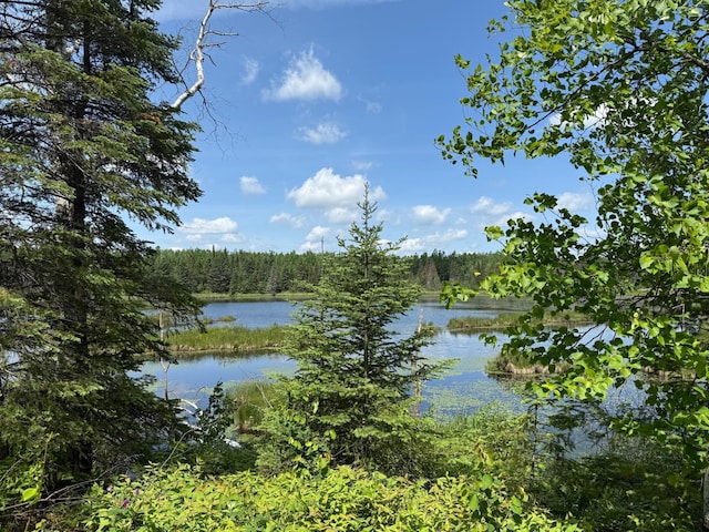 TBD Pequaywan Lake Rd, Duluth, MN 55803