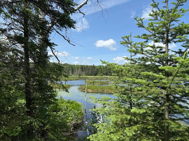 TBD Pequaywan Lake Rd, Duluth, MN 55803