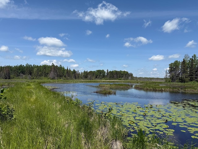 TBD Pequaywan Lake Rd, Duluth, MN 55803