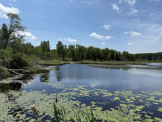 TBD Pequaywan Lake Rd, Duluth, MN 55803